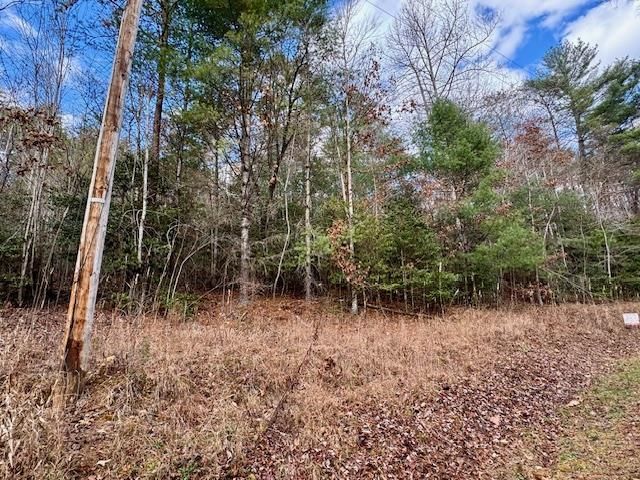 LT 9 Timberline Road, Murphy, NC 28906