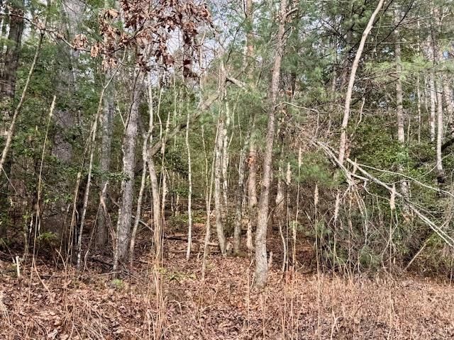LT 9 Timberline Road, Murphy, NC 28906
