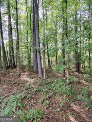 0 Post Road, Winston, GA 30187