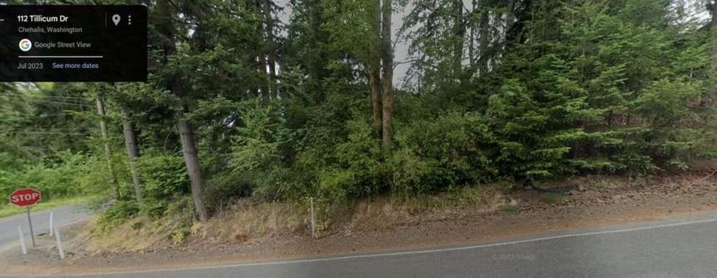 0 Tillicum Dr, Other, WA 98532 photo 2
