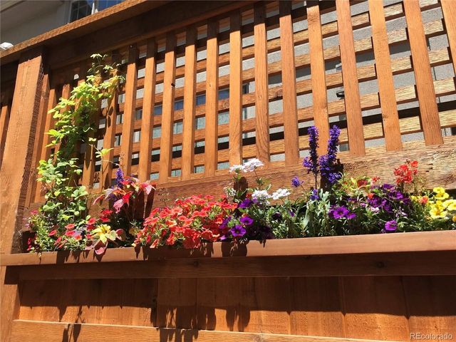 207 Cook St, Denver, CO 80206