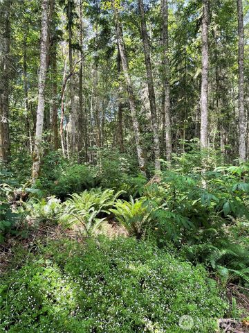 8807 Lot 2 SR 20, Port Townsend, WA 98368