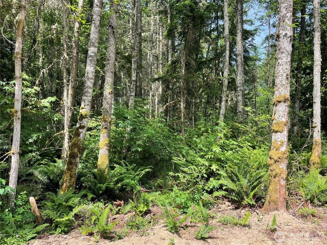 8807 Lot 2 SR 20, Port Townsend, WA 98368