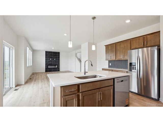 14264 Beebalm Ave, Parker, CO 80134