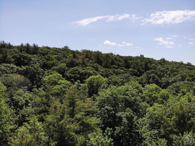 0 Reed Road, Austerlitz, NY 12017