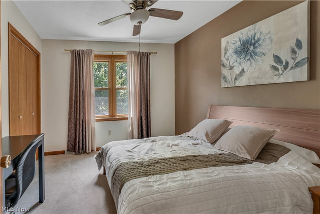 8241 Akron Canfield Road, Canfield, OH 44406