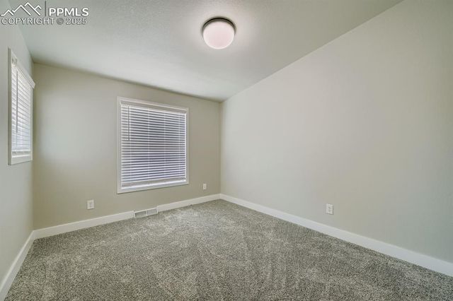 7775 Grizzly Bear Point, Colorado Springs, CO 80922