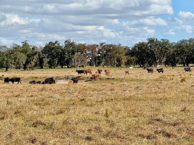 5007 SE 42nd Street, Okeechobee, FL 34974