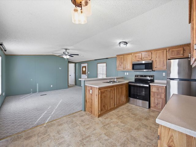 222 County Road 3331, Paradise, TX 76073