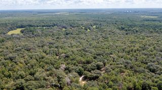 23172 SE 120TH PLACE, Hawthorne, FL 32640