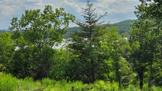 000 Lot 78 Summer Breeze, Kimberling City, MO 65686