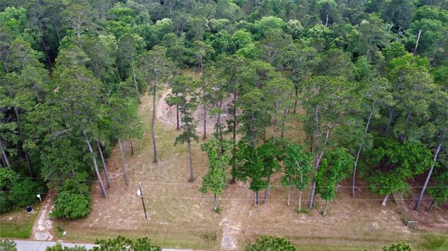 19110 Veterans Rd, Magnolia, TX 77355
