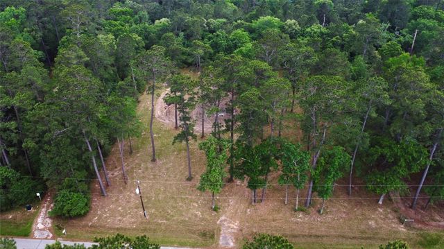 19110 Veterans Rd, Magnolia, TX 77355