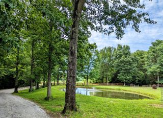 3425 Hopkins Bridge Rd, Unionville, TN 37180