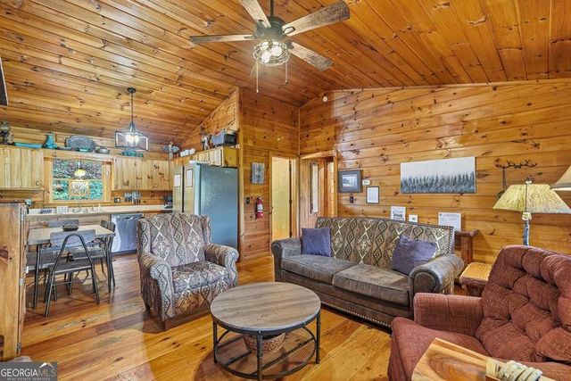 399 Laurel Mountain Road 101, Blue Ridge, GA 30513
