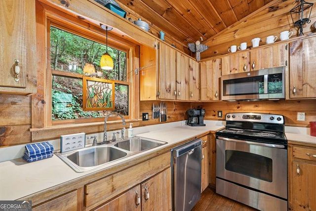 399 Laurel Mountain Road 101, Blue Ridge, GA 30513