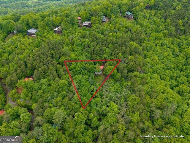399 Laurel Mountain Road 101, Blue Ridge, GA 30513