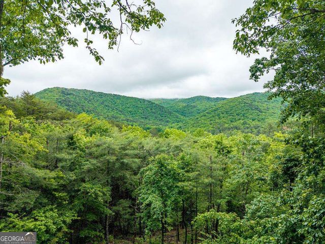 399 Laurel Mountain Road 101, Blue Ridge, GA 30513