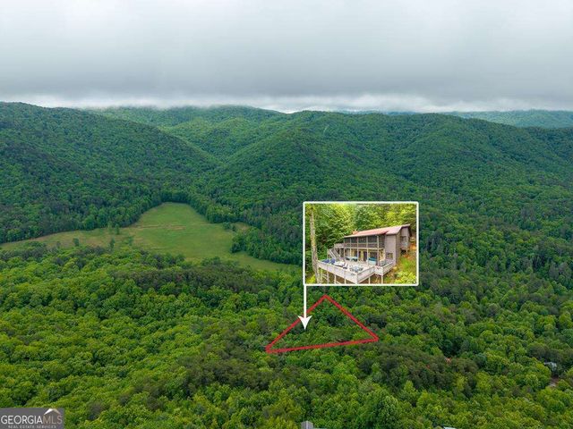 399 Laurel Mountain Road 101, Blue Ridge, GA 30513