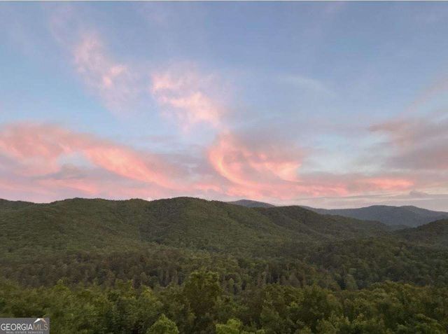 399 Laurel Mountain Road 101, Blue Ridge, GA 30513