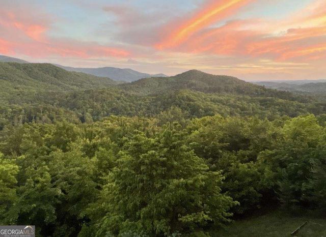 399 Laurel Mountain Road 101, Blue Ridge, GA 30513