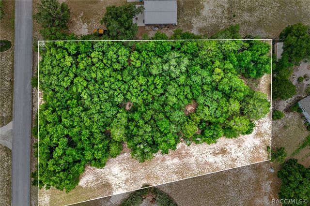 1642 S Valerie Point, Inverness, FL 34452