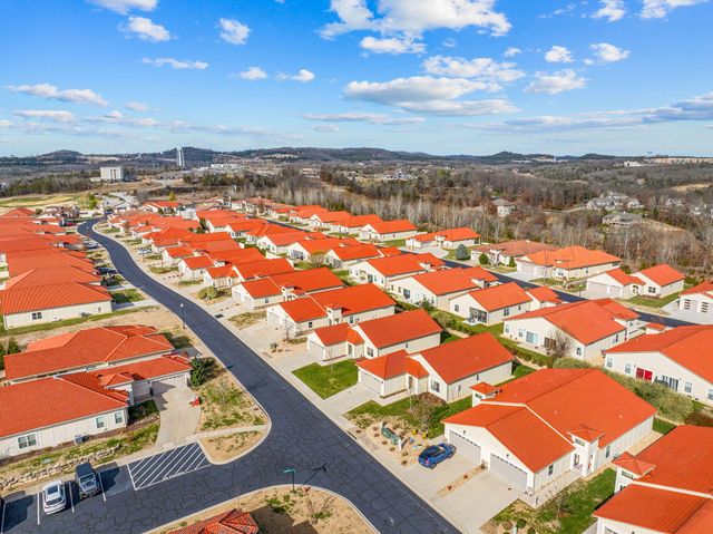 173 Siena Boulevard, Branson, MO 65616
