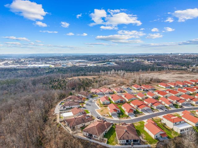 173 Siena Boulevard, Branson, MO 65616
