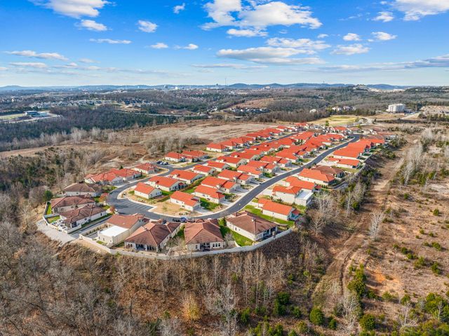 173 Siena Boulevard, Branson, MO 65616