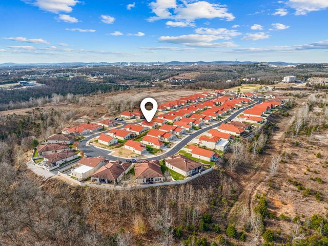 173 Siena Boulevard, Branson, MO 65616
