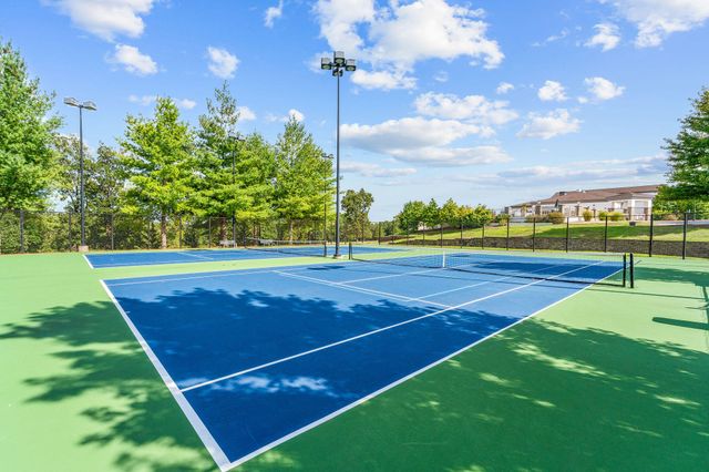 173 Siena Boulevard, Branson, MO 65616