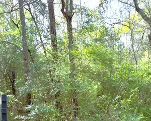 00 Moore Rd., Hattiesburg, MS 39401