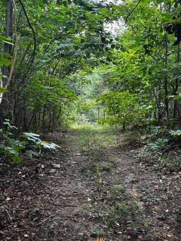 0 Orme Mountain Road, South Pittsburg, TN 37380
