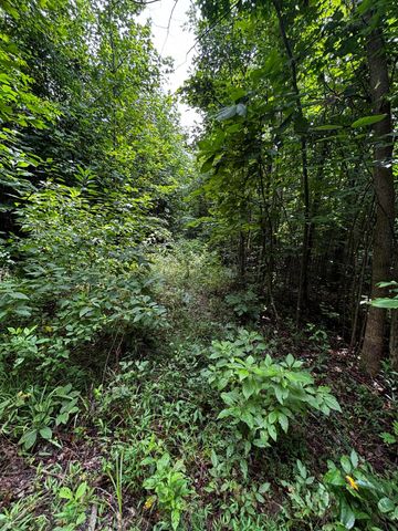 0 Orme Mountain Road, South Pittsburg, TN 37380