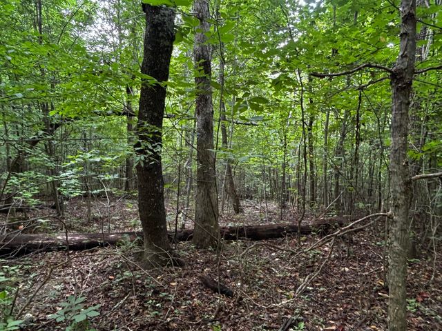0 Orme Mountain Road, South Pittsburg, TN 37380