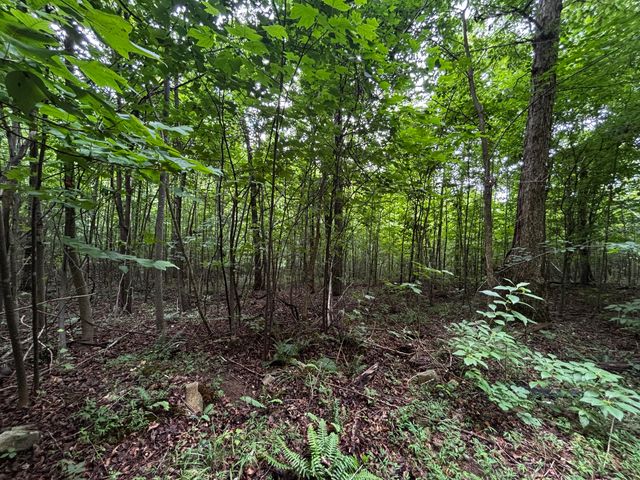 0 Orme Mountain Road, South Pittsburg, TN 37380