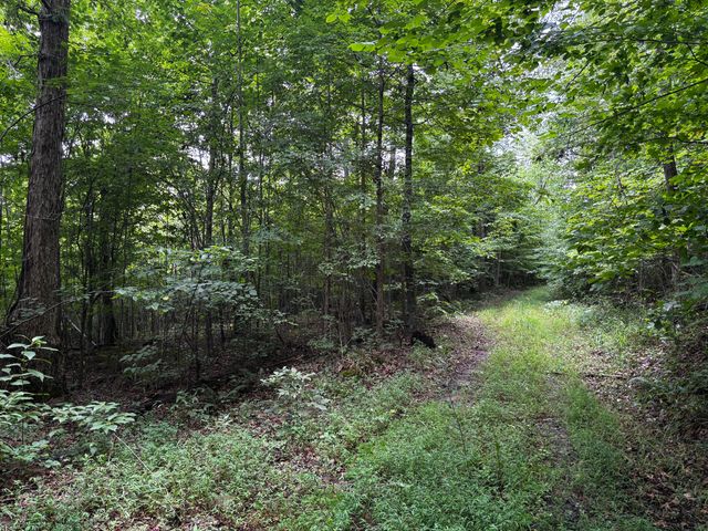 0 Orme Mountain Road, South Pittsburg, TN 37380