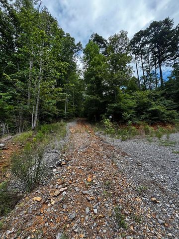 0 Orme Mountain Road, South Pittsburg, TN 37380