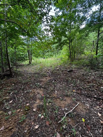 0 Orme Mountain Road, South Pittsburg, TN 37380