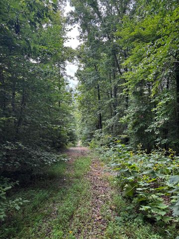 0 Orme Mountain Road, South Pittsburg, TN 37380