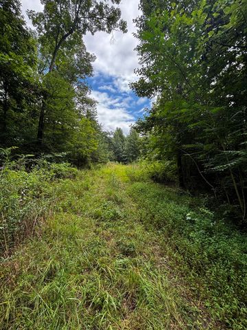 0 Orme Mountain Road, South Pittsburg, TN 37380