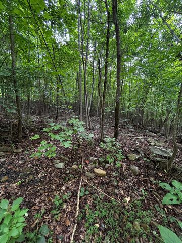 0 Orme Mountain Road, South Pittsburg, TN 37380