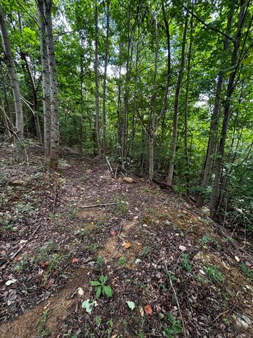 0 Orme Mountain Road, South Pittsburg, TN 37380