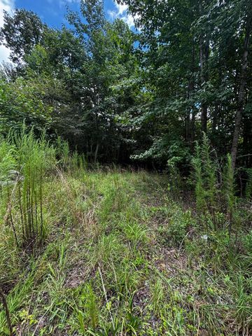 0 Orme Mountain Road, South Pittsburg, TN 37380