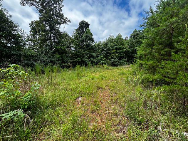 0 Orme Mountain Road, South Pittsburg, TN 37380