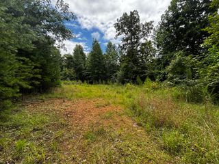 0 Orme Mountain Road, South Pittsburg, TN 37380