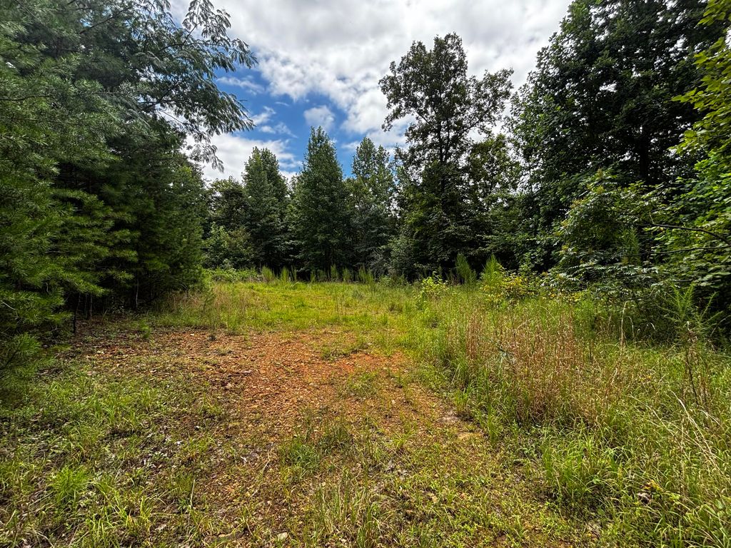 0 Orme Mountain Road, South Pittsburg, TN 37380