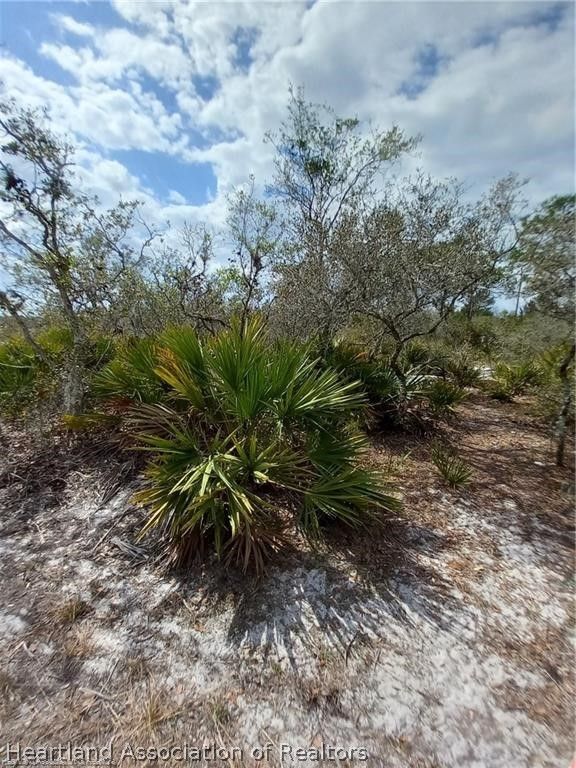 10522 Tam Oshanter Boulevard, Sebring, FL 33875