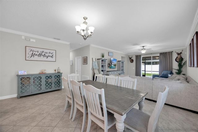 3116 CALVANO DRIVE, Land O Lakes, FL 34639
