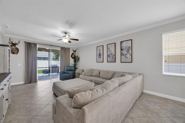 3116 CALVANO DRIVE, Land O Lakes, FL 34639